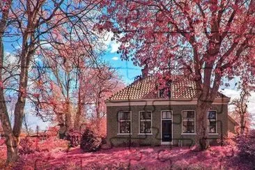 Holanda jigsaw puzzle