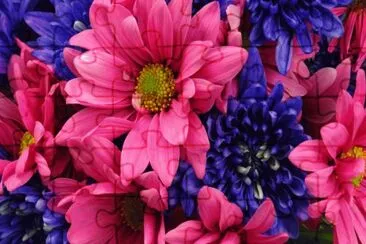 Vibrant Purple and Pink Flowers jigsaw puzzle