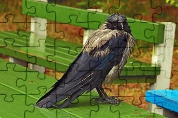 Nida jigsaw puzzle