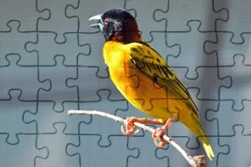 Gelber Vogel jigsaw puzzle