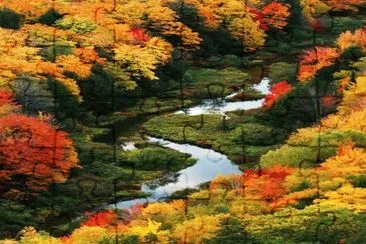 imagem jigsaw puzzle