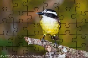 פאזל של NATUREZA
