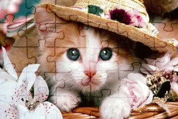 cat4 jigsaw puzzle