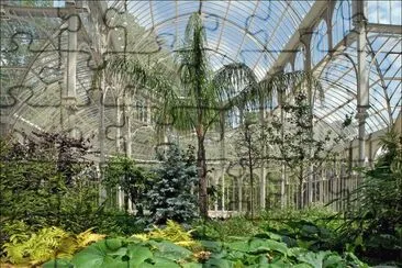 paisaje jigsaw puzzle