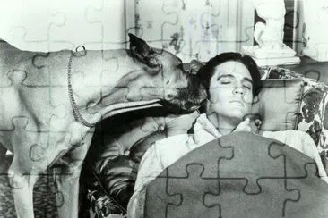 albert jigsaw puzzle