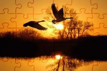 1 jigsaw puzzle