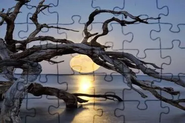 54 jigsaw puzzle