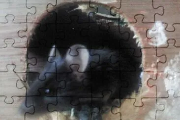 Negro jigsaw puzzle