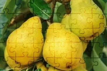 imagem jigsaw puzzle