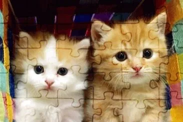imagem jigsaw puzzle