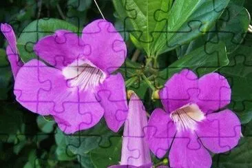 imagem jigsaw puzzle