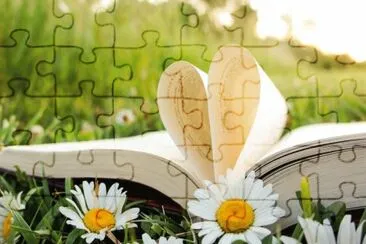  jigsaw puzzle