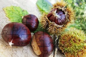 castagne jigsaw puzzle