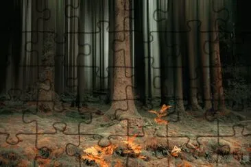 Forest jigsaw puzzle