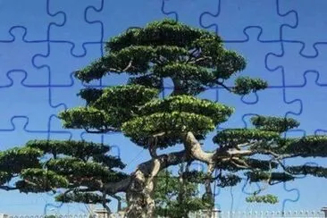 imagem jigsaw puzzle
