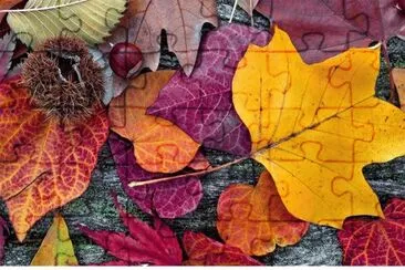 FOTO jigsaw puzzle