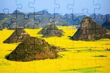 campos de China jigsaw puzzle