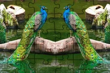 פאזל של imagem