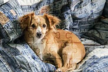 Nina1 jigsaw puzzle