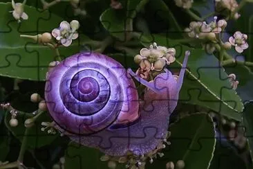 27 jigsaw puzzle