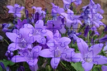 33 jigsaw puzzle