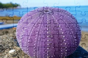 89 jigsaw puzzle