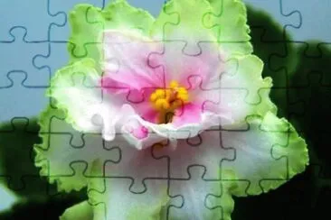 פאזל של Flor