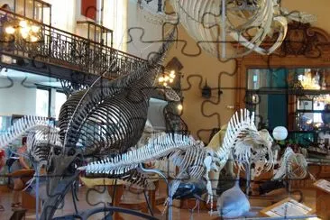 MUSEUM MONACO