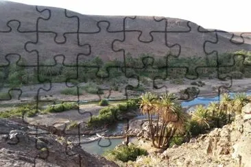 Ouarzazate oasis
