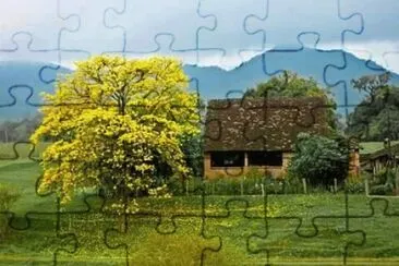 imagem jigsaw puzzle