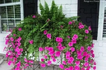 imagem jigsaw puzzle