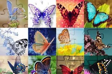 B1 jigsaw puzzle