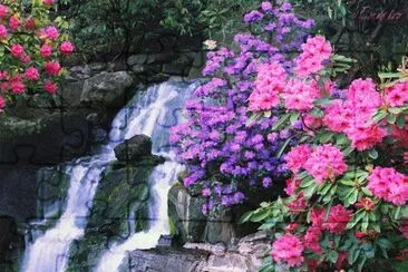 Bunt jigsaw puzzle