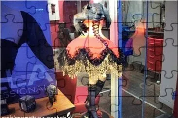 Montages d 'images de marmottes