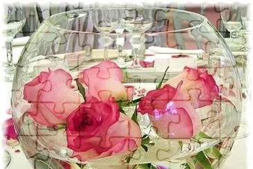 71 jigsaw puzzle