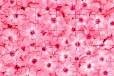 80 jigsaw puzzle