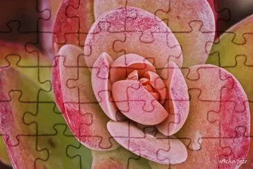 fuerte ventura jigsaw puzzle