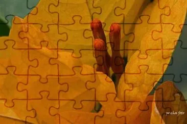 bougainvillea jigsaw puzzle