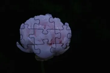 Schwebeblume jigsaw puzzle