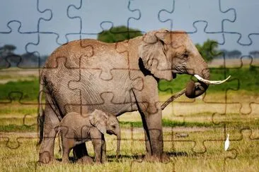 Elephant and Baby/Amboseli Natl. Park