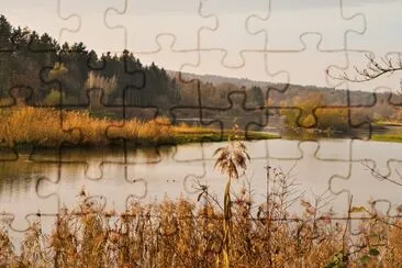 Reusslandschaft jigsaw puzzle