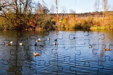 am Katzensee jigsaw puzzle