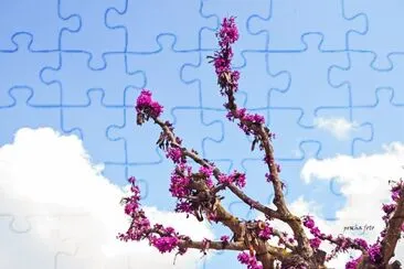 mallorca jigsaw puzzle