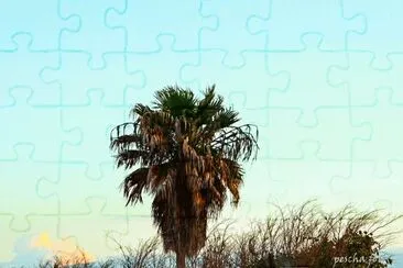 mallorca