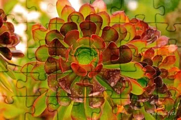 mallorca jigsaw puzzle