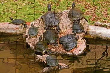 mallorca jigsaw puzzle