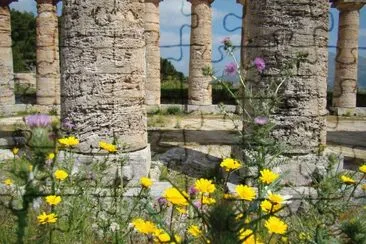 Segesta