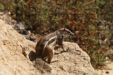 gran canaria jigsaw puzzle