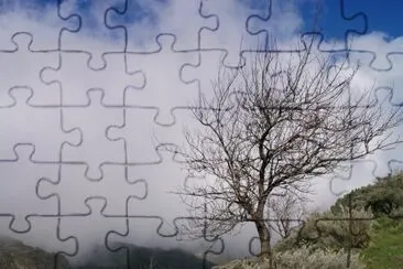 gran canaria / passat jigsaw puzzle