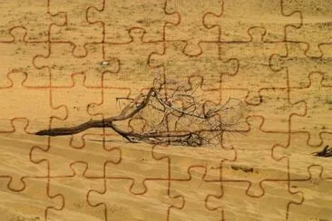 gran canaria / maspalomas jigsaw puzzle